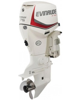 2020 EVINRUDE 90 H.O. – E90HSL